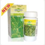 هوديا جوردوني HOODIA GORDONII